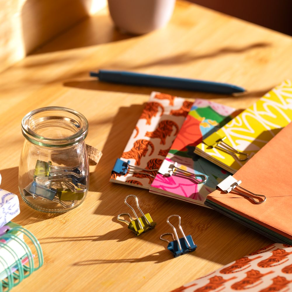 Set de 12 clips con colores