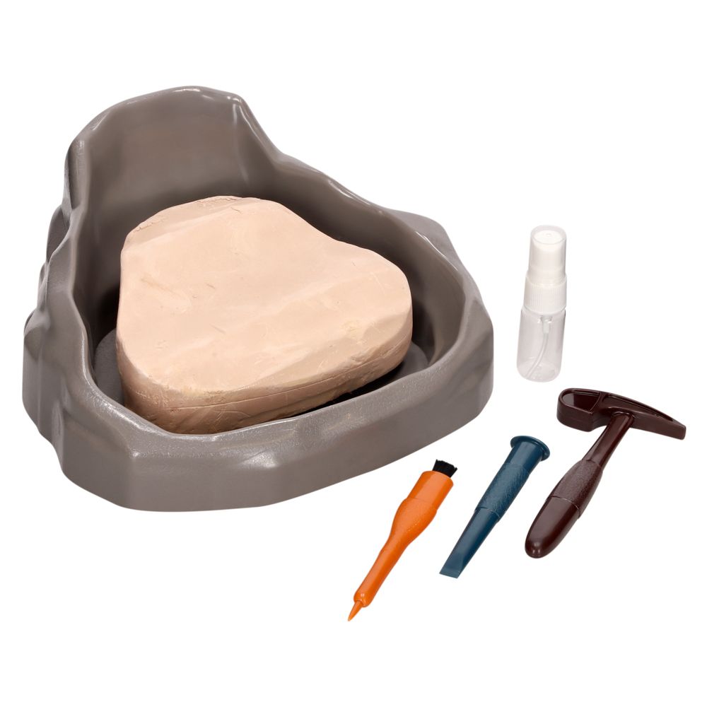 Kit de excavación de fósil dinosaurios