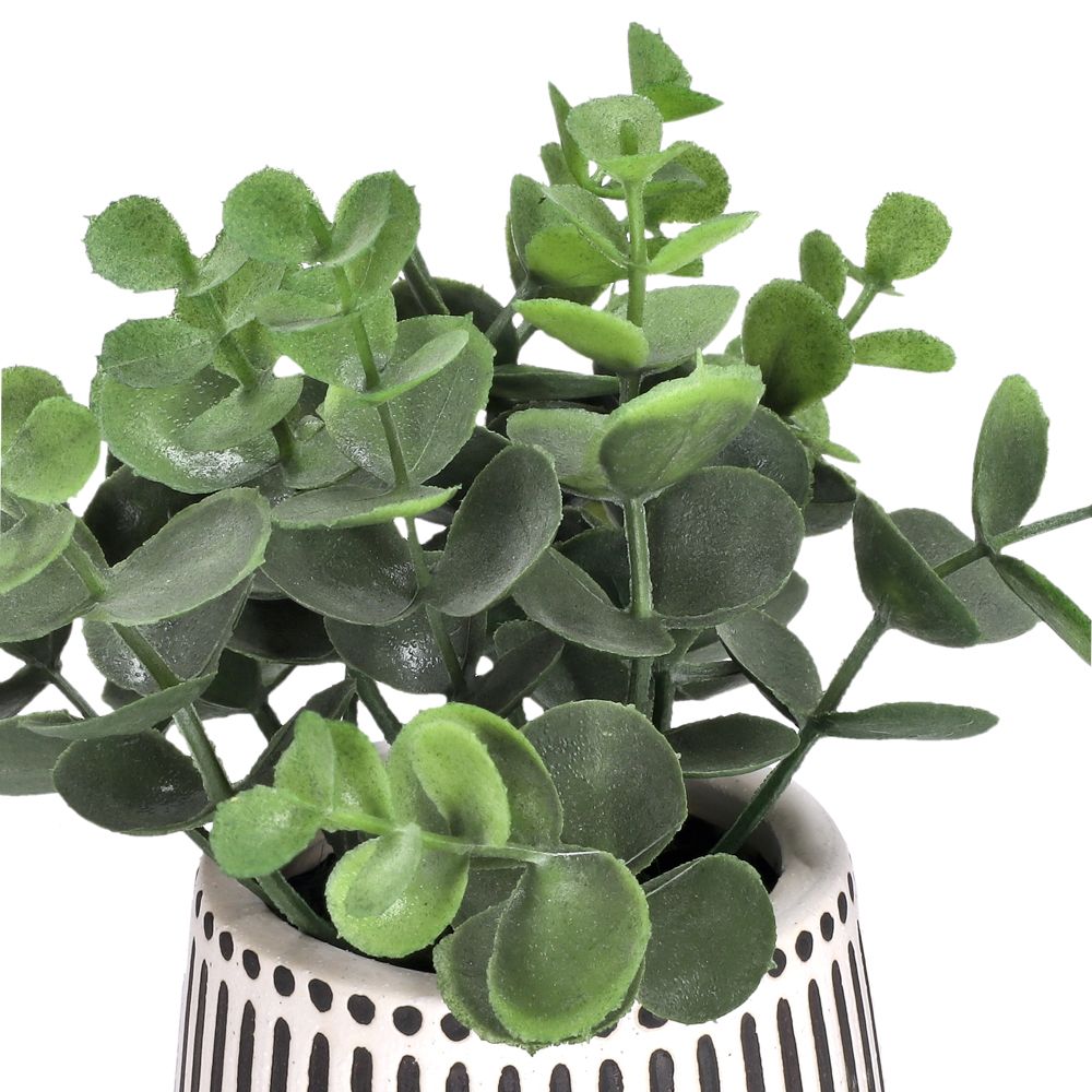 Maceta con planta 15x16.5 cm