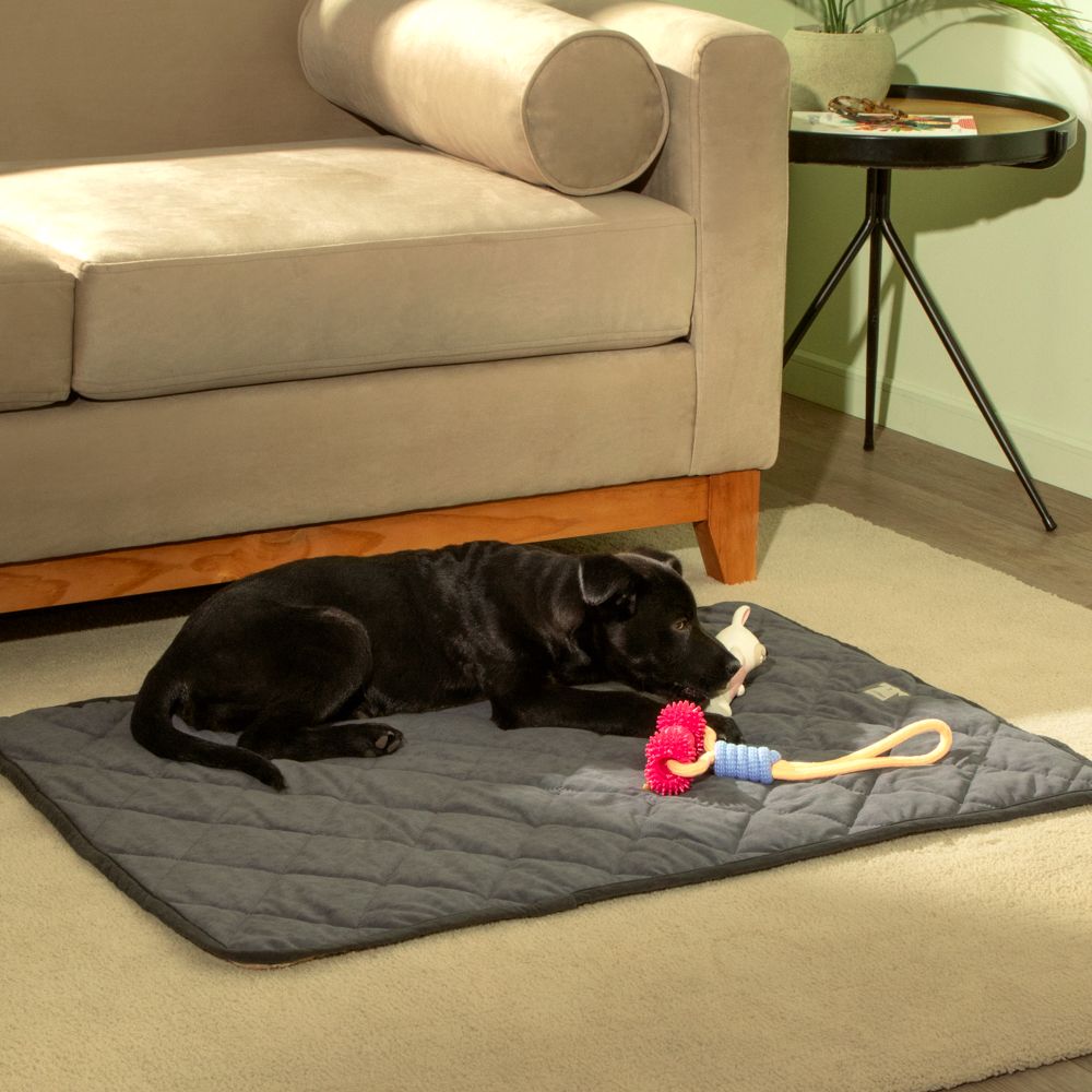 Tapete Acolchado para Mascotas 70x100x3 cm