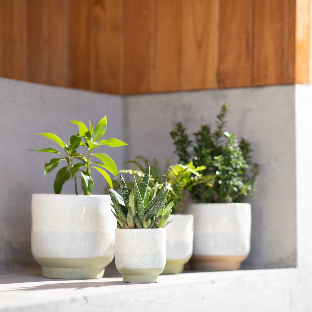 Maceta de cerámica crudo 18.6x18 cm