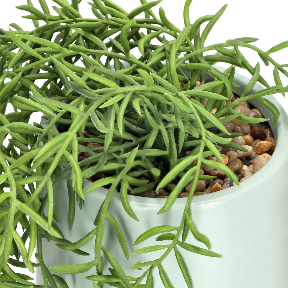 Maceta con suculenta colgante 18x41.5 cm