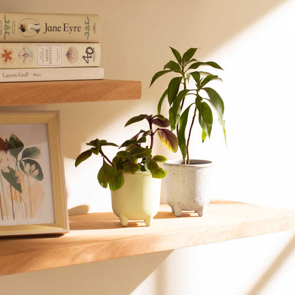 Maceta de fibra de bambú con patas 9.5x9.8 cm