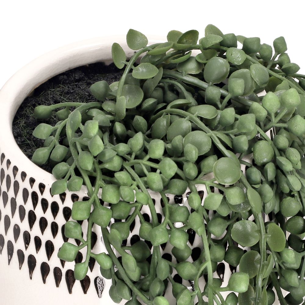 Maceta con suculenta y decal 15x35 cm