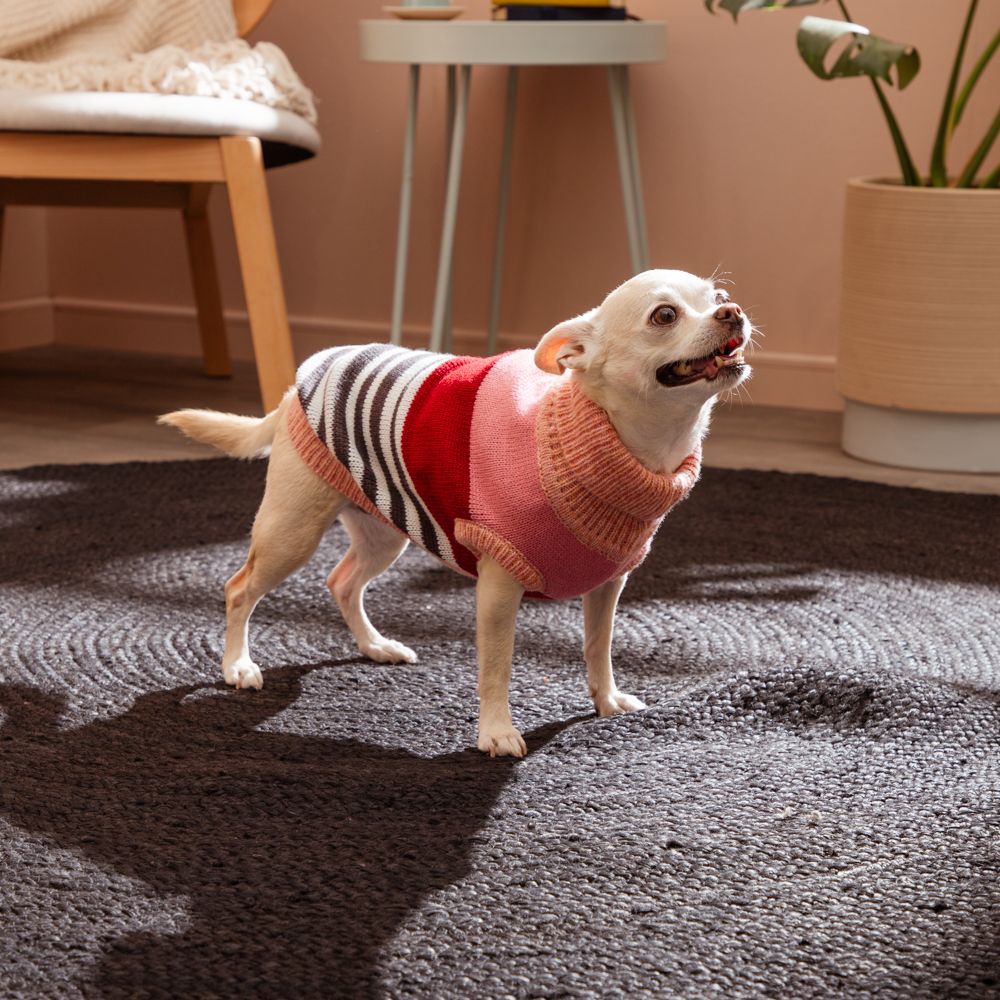 Chaleco tejido para mascota talla chica