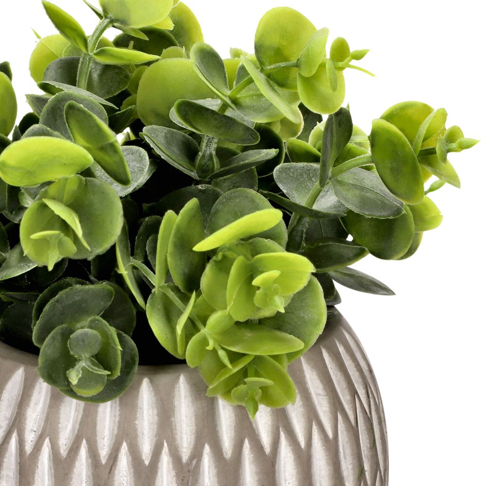 Planta con maceta esferica 12x26 cm