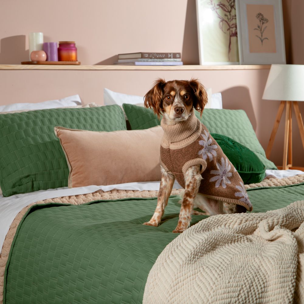 Chaleco tejido para mascota talla mediana