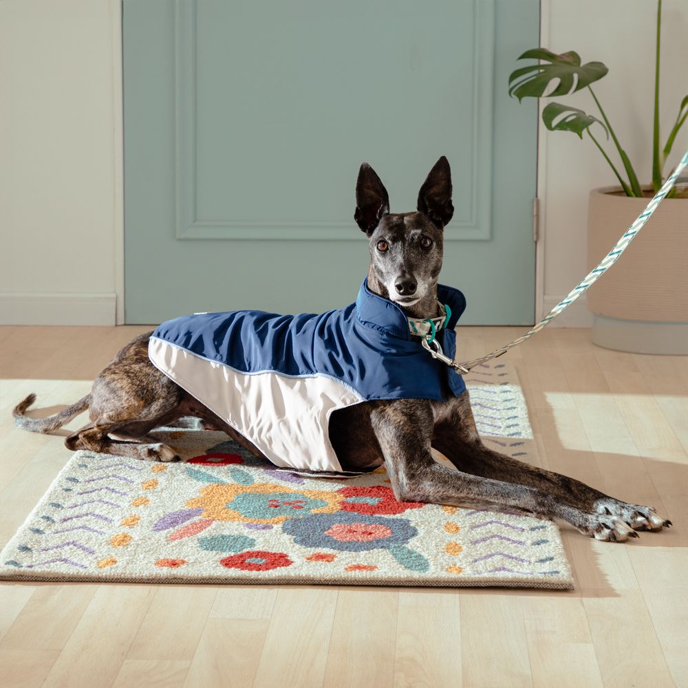 Chaqueta impermeable para mascota talla grande