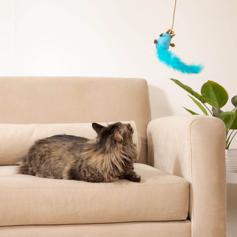 Juguete para gato de vara