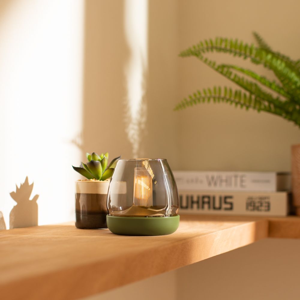 Cactus con maceta 7x9.5 cm