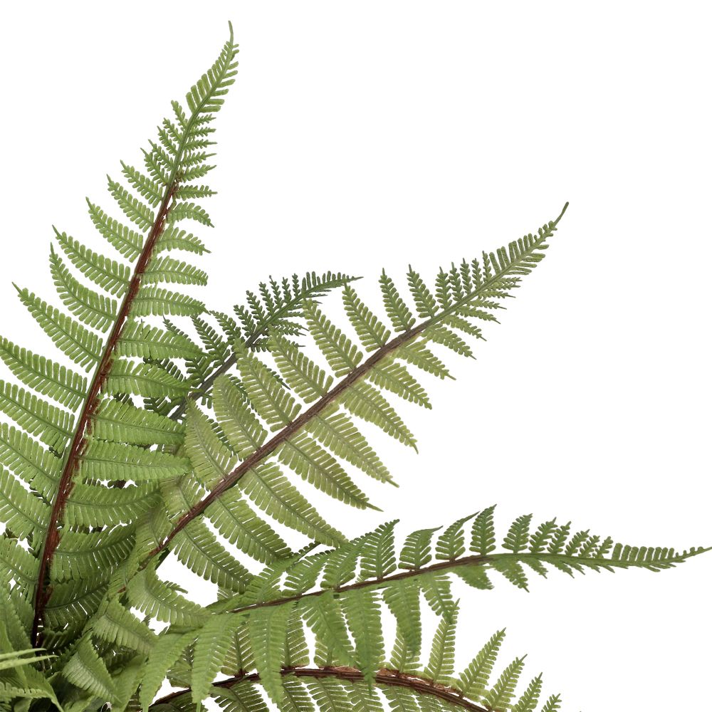 Maceta con planta 43x34 cm