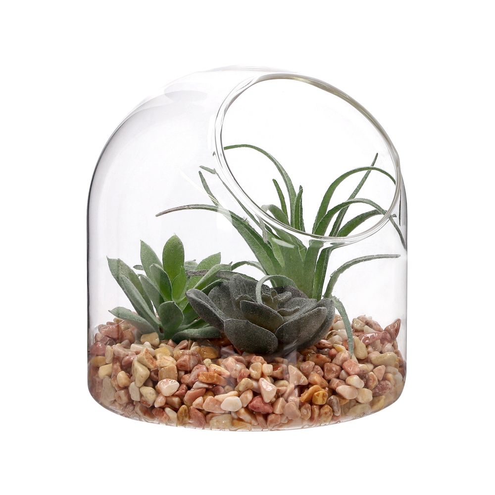 Terrario de vidrio con cactus 12x12 cm