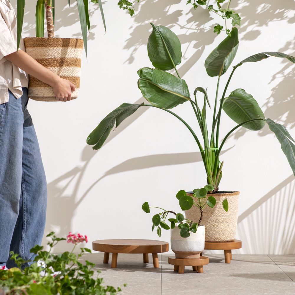 Base para maceta de madera 40x12 cm