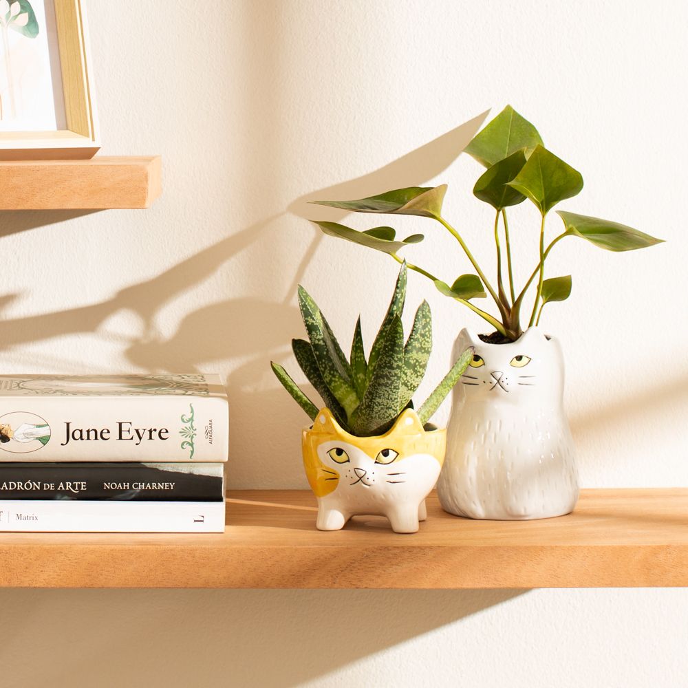 Maceta de cerámica gato alto 10.5x15 cm