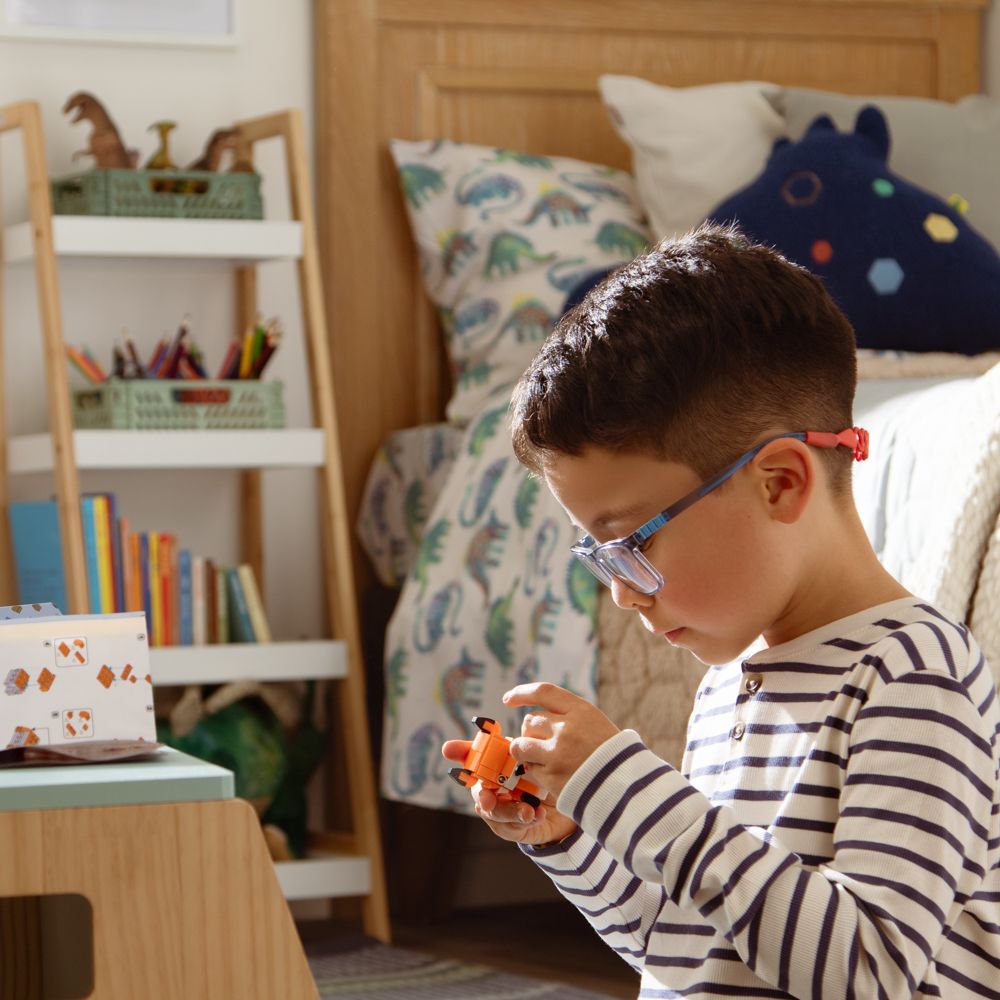 Set minibloques para hacer 2 animales