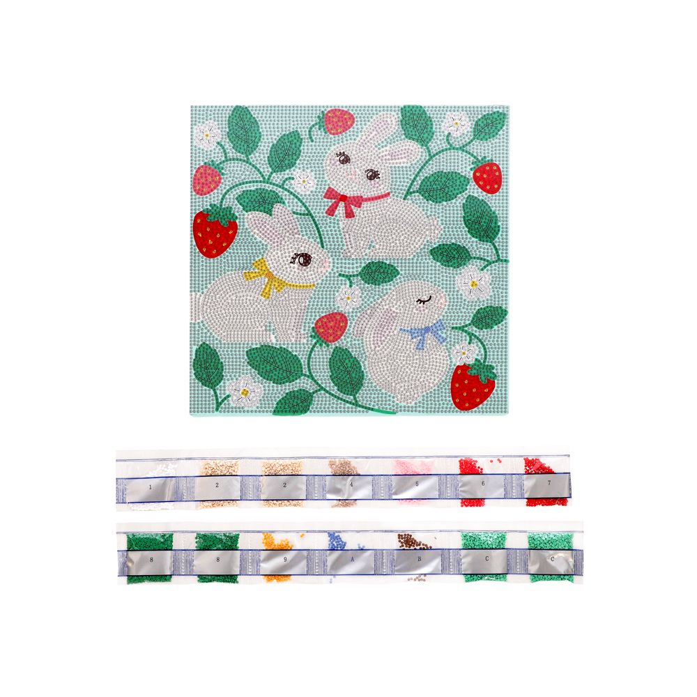 Kit “Pintura con diamantes”