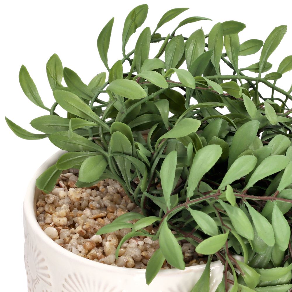 Maceta con planta colgante 19x34.5 cm