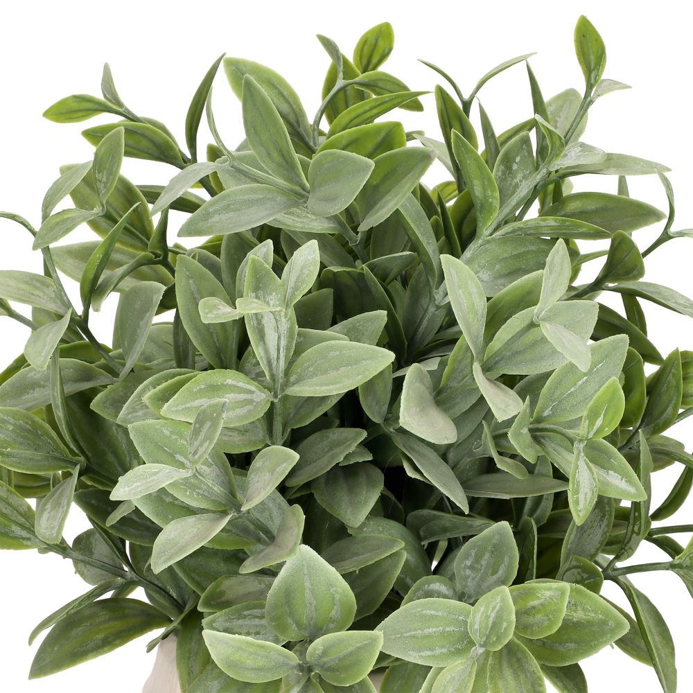 Maceta texturada con planta