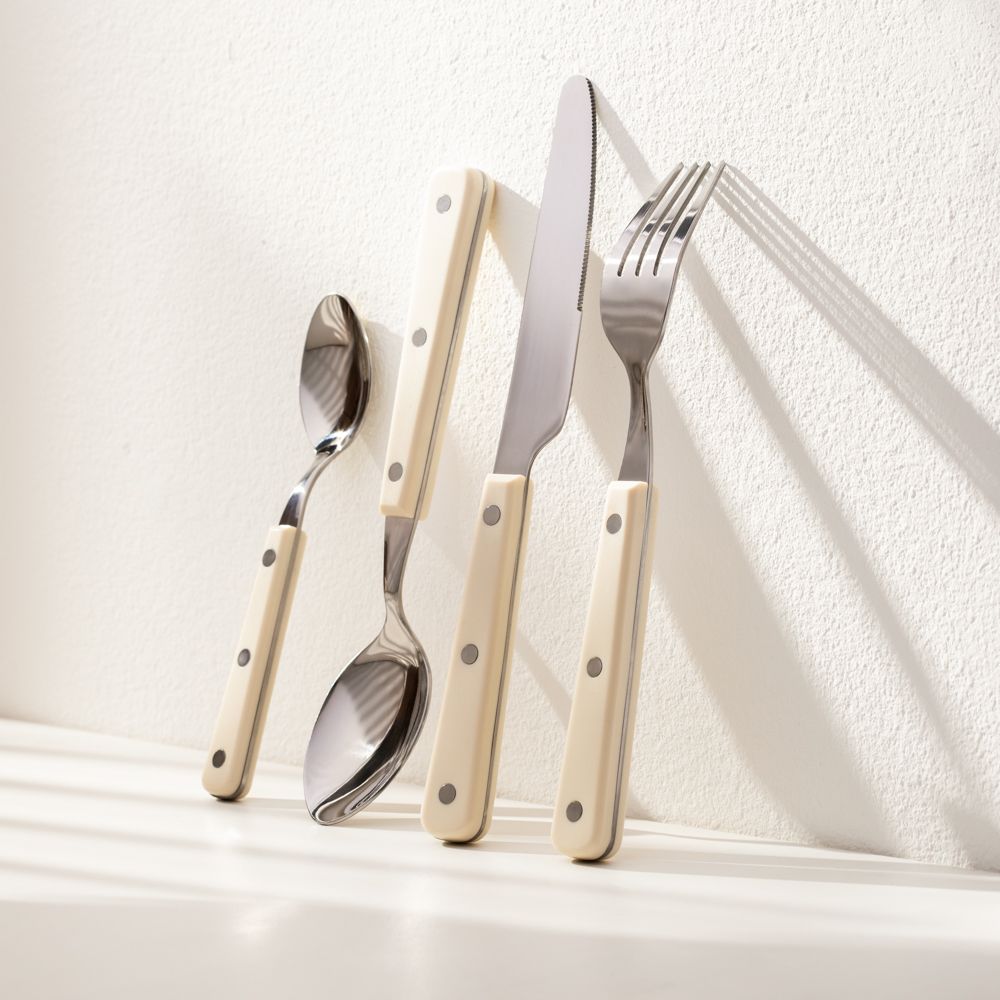 Set de cubiertos con base de color 24 piezas