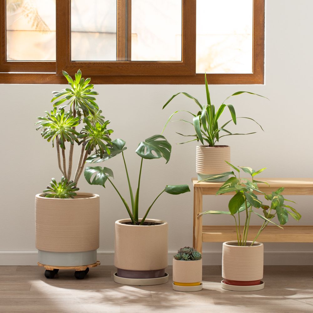 Plato maceta cerámica 14 cm