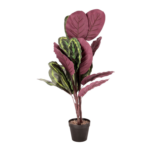 Maceta con planta grande 40x85 cm