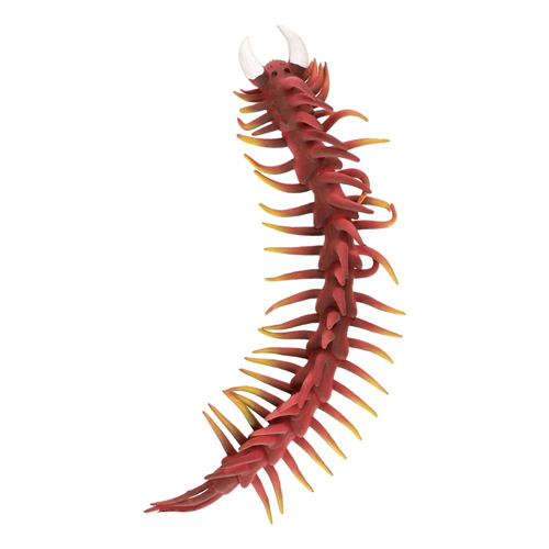 Ciempies apretable cambiacolor