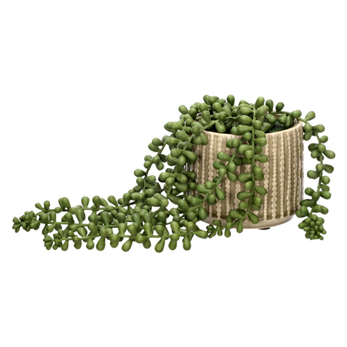 Maceta de cerámica con suculenta colgante