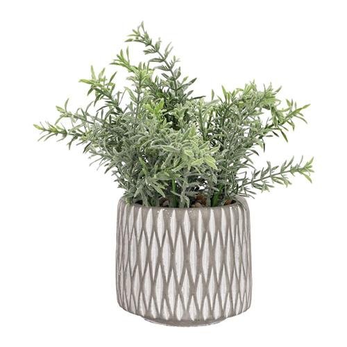 Maceta texturada con planta