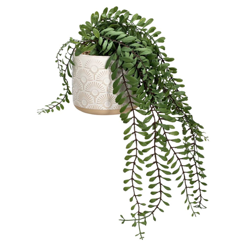 Maceta con planta colgante 19x34.5 cm