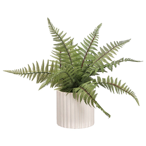 Maceta con planta 43x34 cm