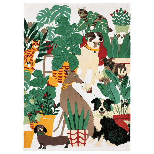 Paño de cocina estampado 50x70 cm