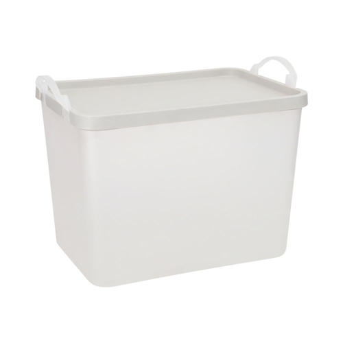 Caja plástica con tapa 5.5 Litros