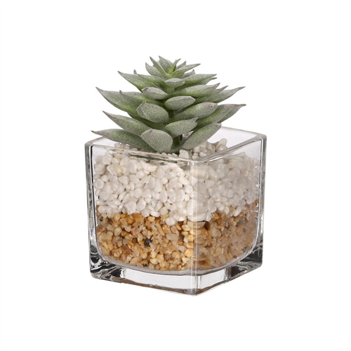 Maceta de vidrio con cactus