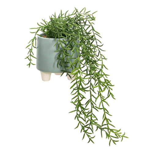 Maceta con suculenta colgante 18x41.5 cm