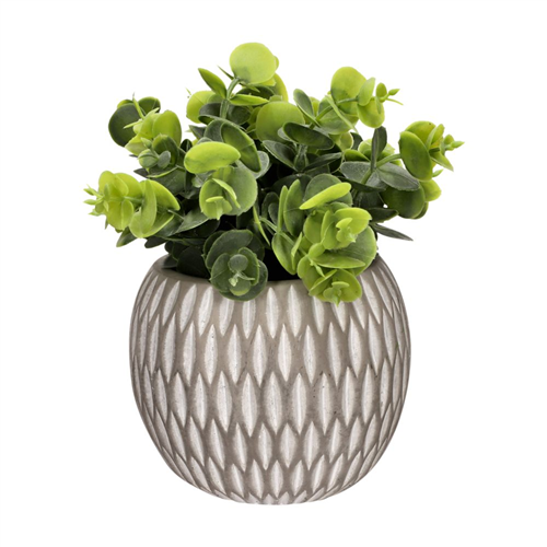 Planta con maceta esferica 12x26 cm