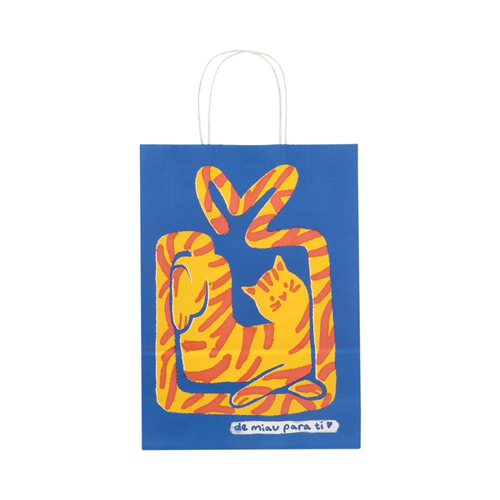 Bolsa papel de regalo S 22x10x30 cm