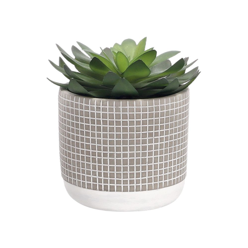 Maceta de terracota con cactus 14x14 cm