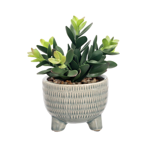 Maceta con cactus 16x19 cm