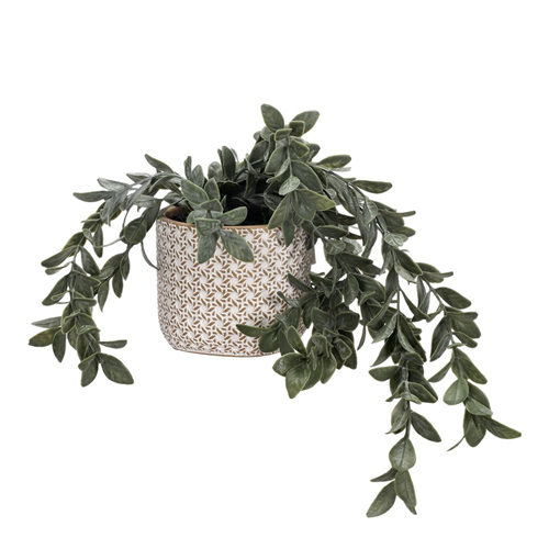 Maceta colgante con planta 15x34 cm