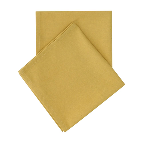Set de 2 servilletas de algodón 40x40 cm