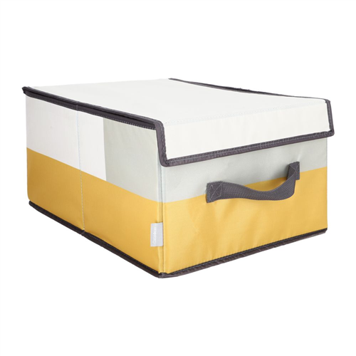 Caja con tapa para clóset 28x36x19 cm