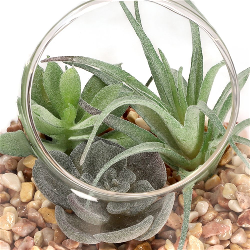 Terrario de vidrio con cactus 12x12 cm