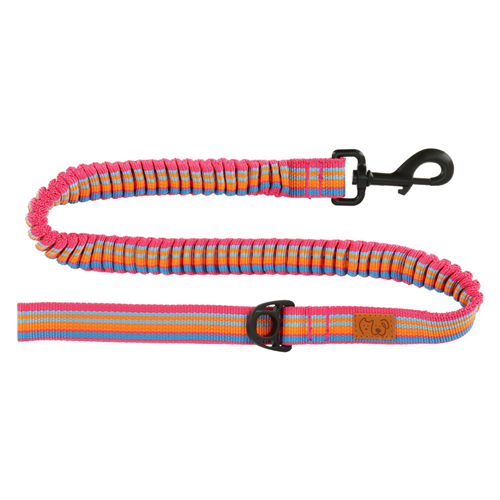 Correa Cinta Antishock para mascota L/XL