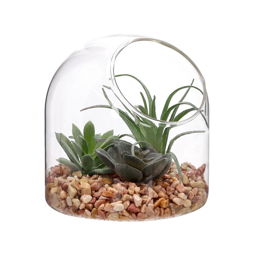 Terrario de vidrio con cactus 12x12 cm