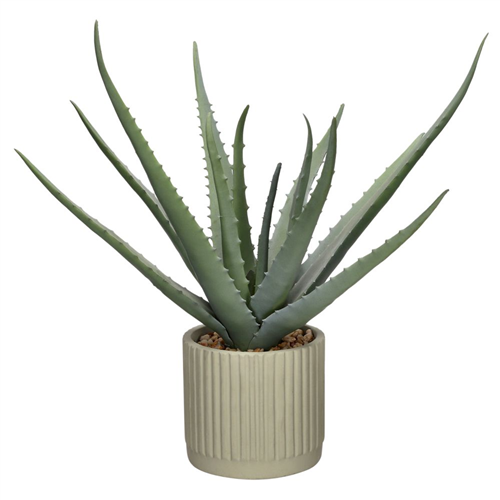 Cactus con maceta 27x40 cm