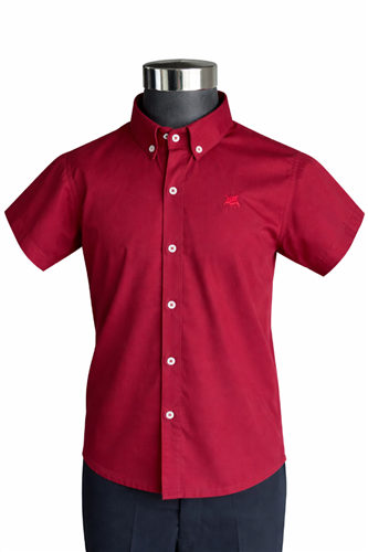 CAMISA BULLS CORTA TINTO