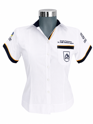 BLUSA ERMILO<input type='hidden' value='0' name='currpag_0'>