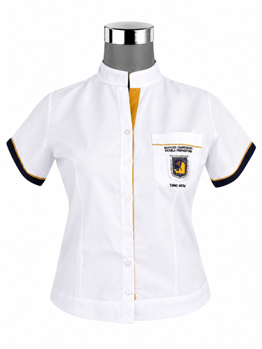 BLUSA IC TM<input type='hidden' value='0' name='currpag_0'>