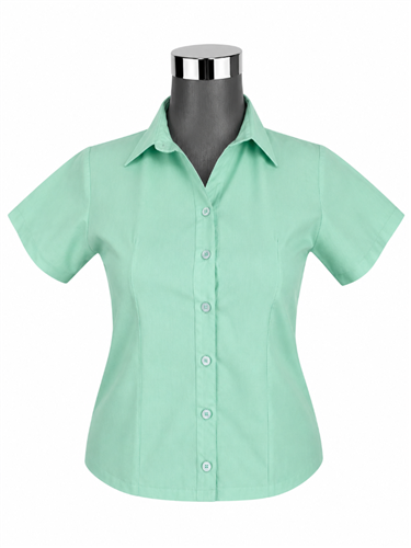 BLUSA EJECUTIVO CORTA MENTA<input type='hidden' value='0' name='currpag_0'>