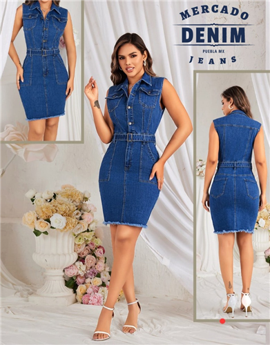 Belted Denim Dress / CX1585